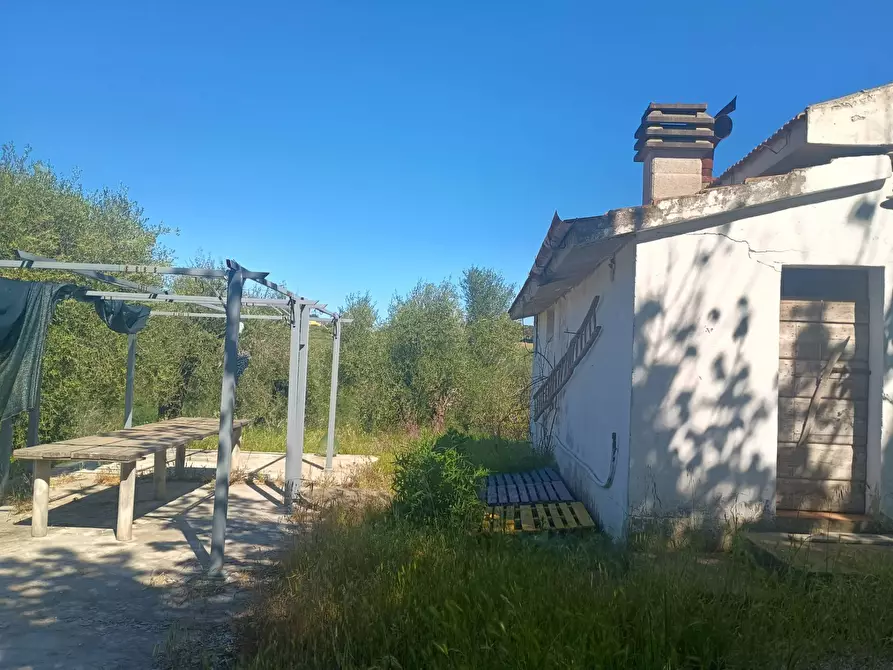 Immagine 10 di Casa indipendente in vendita  in via nuova a Palaia