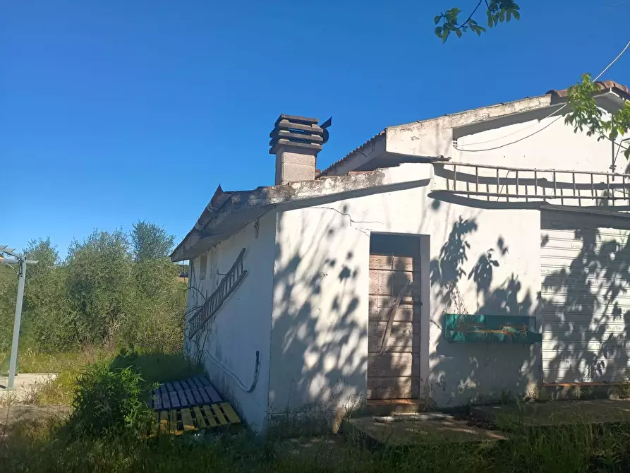 Immagine 11 di Casa indipendente in vendita  in via nuova a Palaia