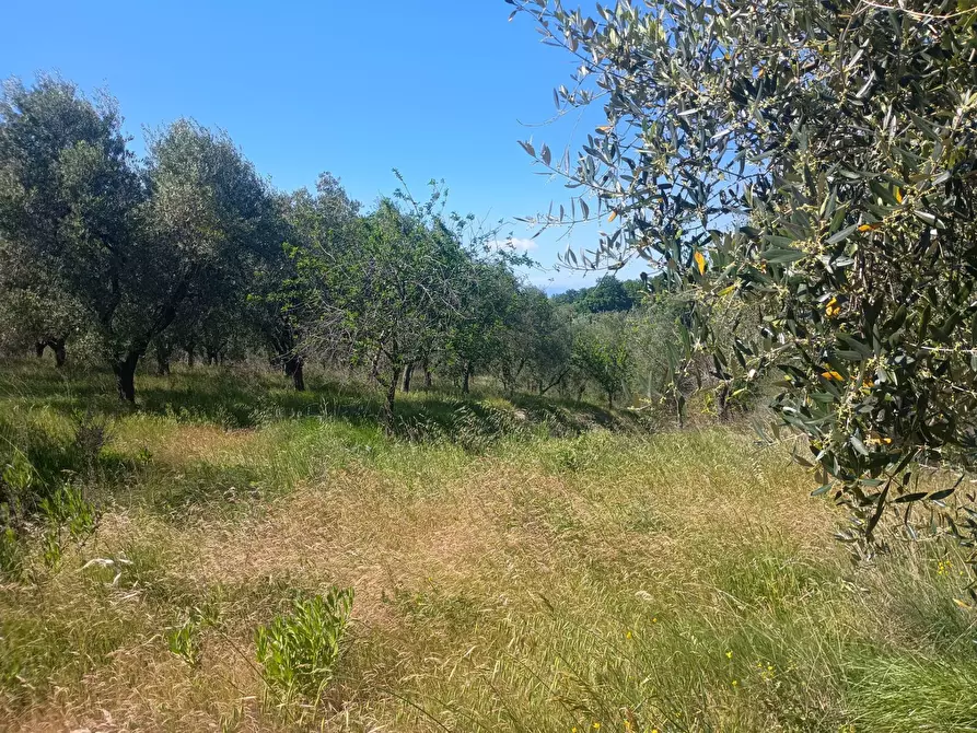 Immagine 12 di Casa indipendente in vendita  in via nuova a Palaia