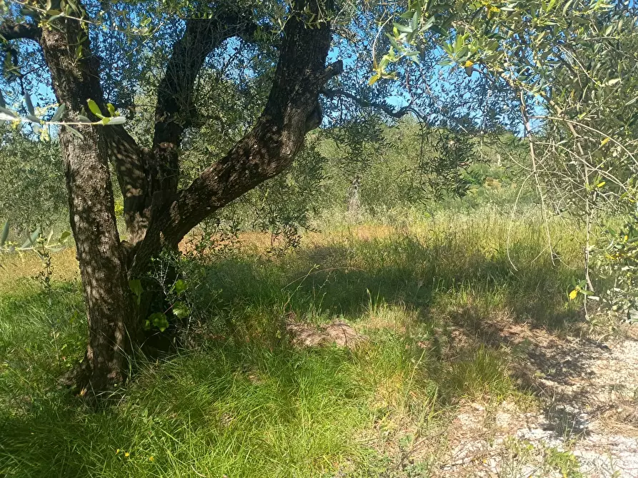 Immagine 13 di Casa indipendente in vendita  in via nuova a Palaia
