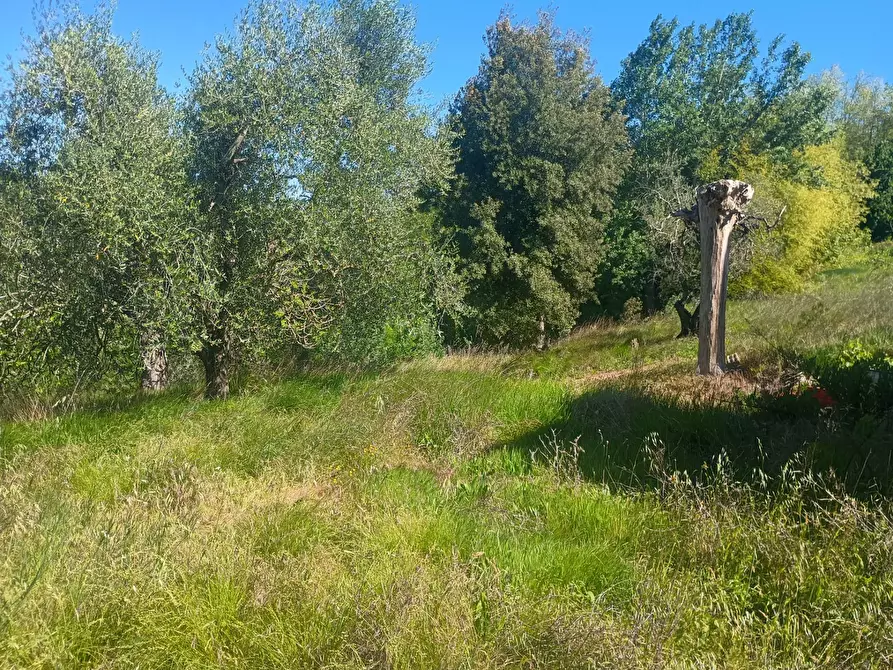 Immagine 15 di Casa indipendente in vendita  in via nuova a Palaia