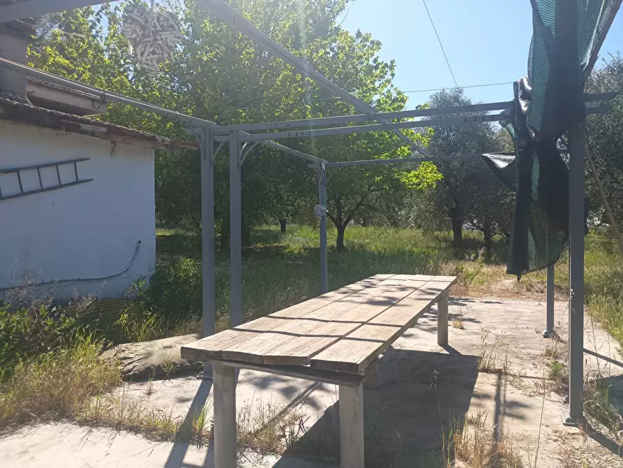 Immagine 16 di Casa indipendente in vendita  in via nuova a Palaia
