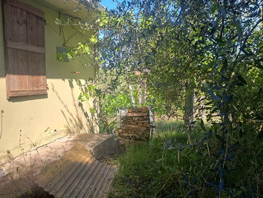 Immagine 18 di Casa indipendente in vendita  in via nuova a Palaia