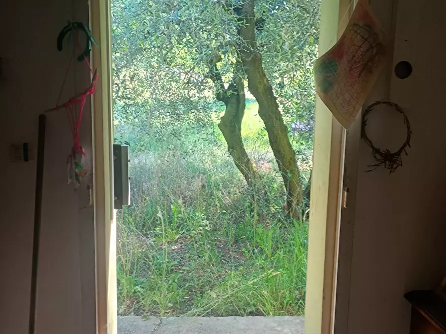 Immagine 20 di Casa indipendente in vendita  in via nuova a Palaia