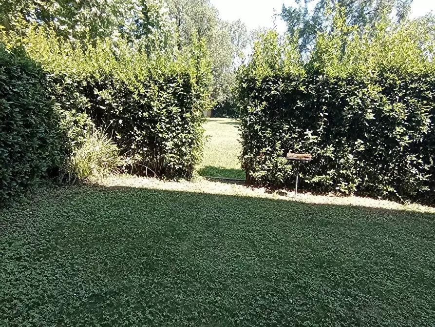 Immagine 29 di Appartamento in vendita  in via toscoromagnola a Pontedera