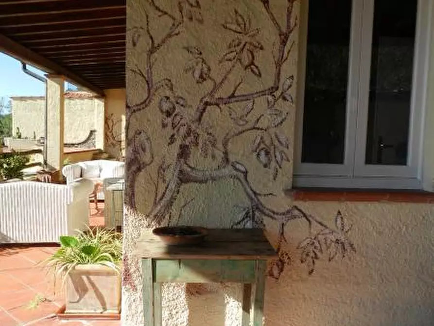 Immagine 5 di Rustico / casale in vendita  a Pietrasanta