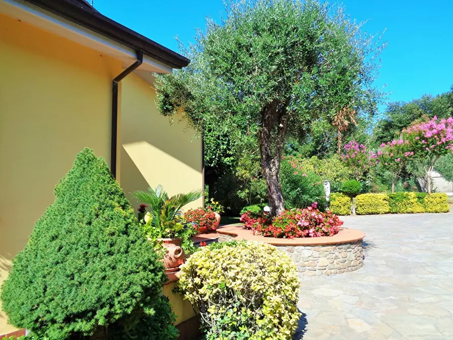 Immagine 5 di Villa in vendita  a Montignoso