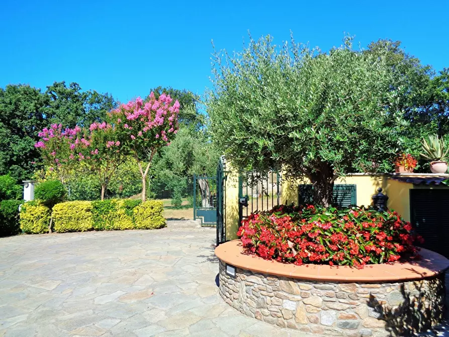 Immagine 6 di Villa in vendita  a Montignoso