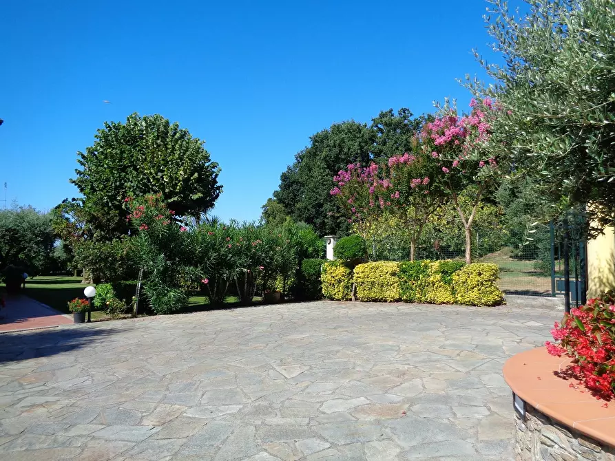 Immagine 7 di Villa in vendita  a Montignoso