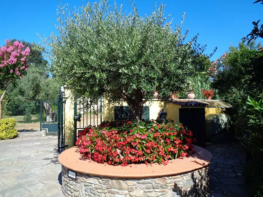 Immagine 10 di Villa in vendita  a Montignoso