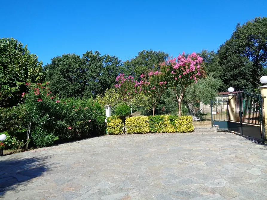 Immagine 12 di Villa in vendita  a Montignoso