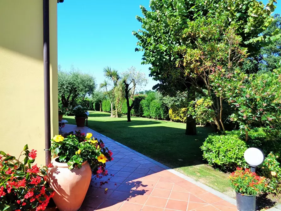 Immagine 14 di Villa in vendita  a Montignoso