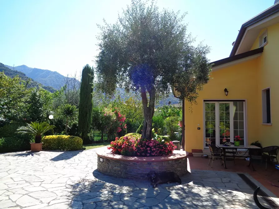 Immagine 17 di Villa in vendita  a Montignoso