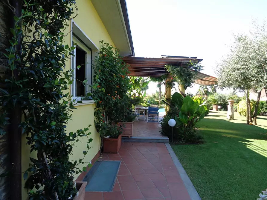 Immagine 19 di Villa in vendita  a Montignoso