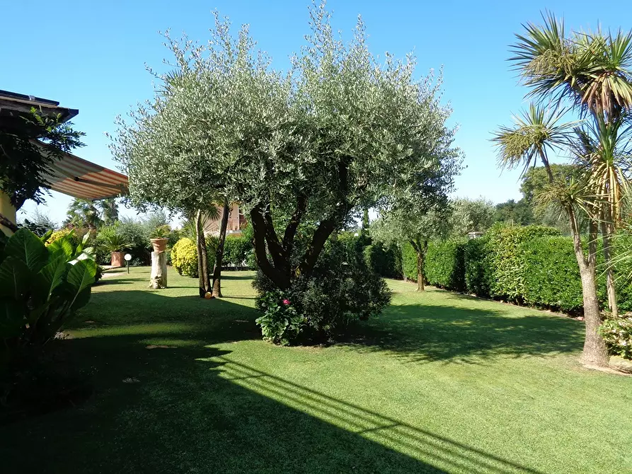 Immagine 20 di Villa in vendita  a Montignoso