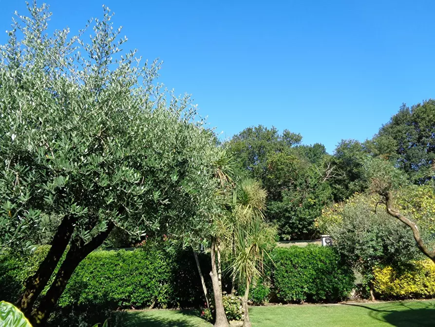 Immagine 22 di Villa in vendita  a Montignoso