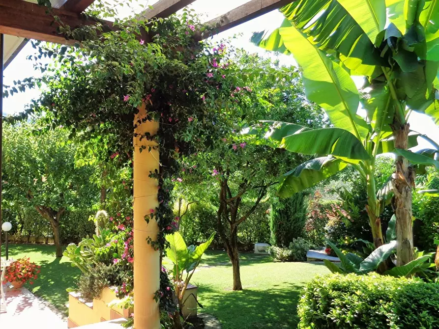 Immagine 24 di Villa in vendita  a Montignoso