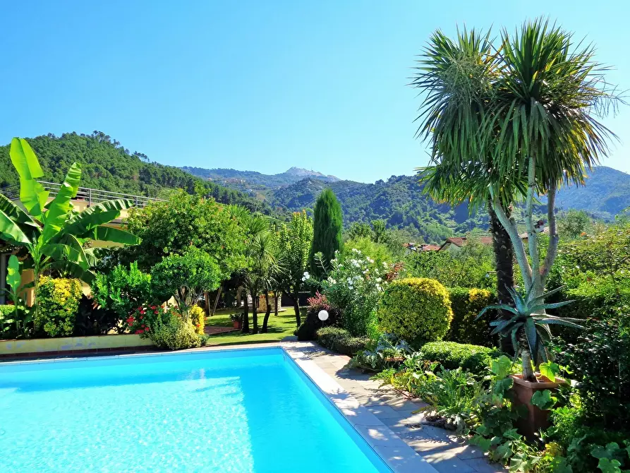 Immagine 4 di Villa in vendita  a Montignoso