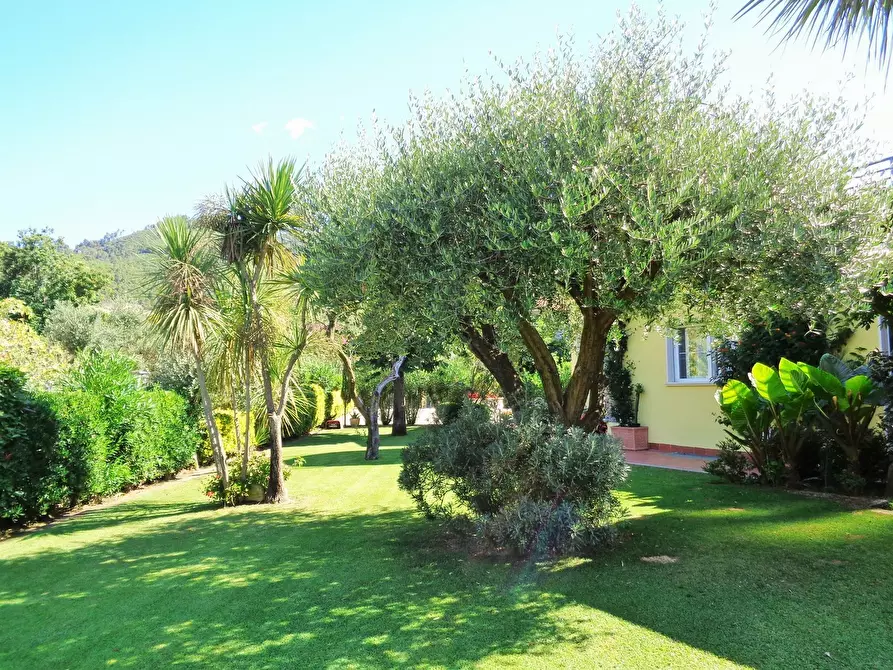 Immagine 31 di Villa in vendita  a Montignoso