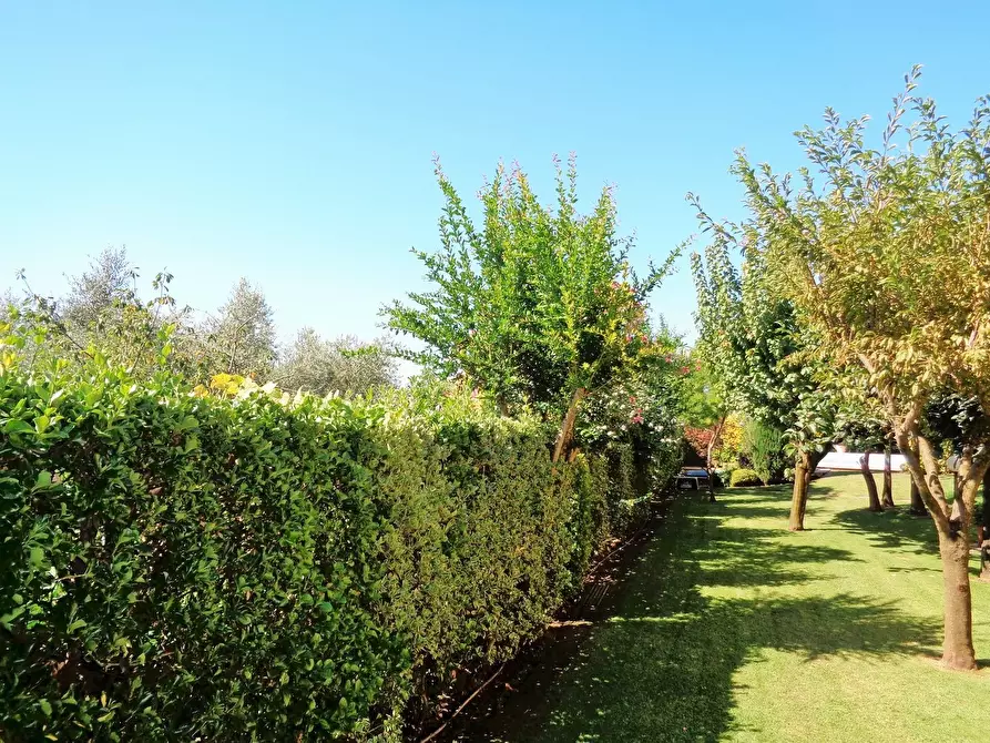 Immagine 37 di Villa in vendita  a Montignoso