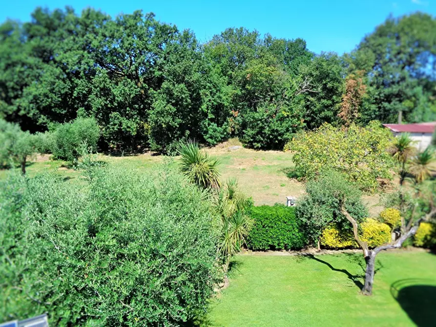 Immagine 48 di Villa in vendita  a Montignoso