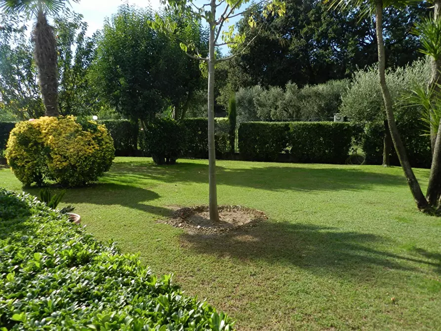 Immagine 61 di Villa in vendita  a Montignoso