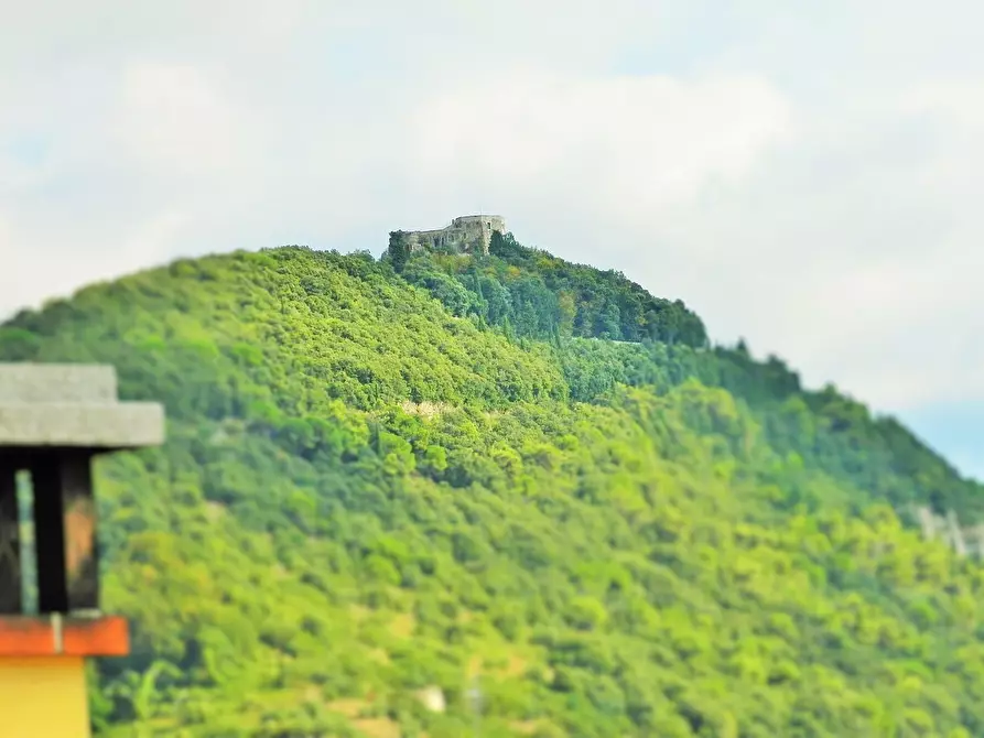 Immagine 103 di Villa in vendita  a Montignoso