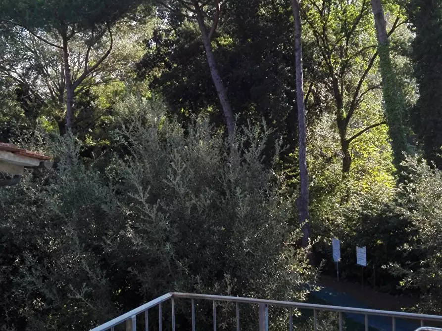 Immagine 25 di Villa in vendita  a Forte Dei Marmi