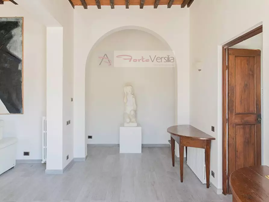 Immagine 3 di Villa in affitto  a Forte Dei Marmi