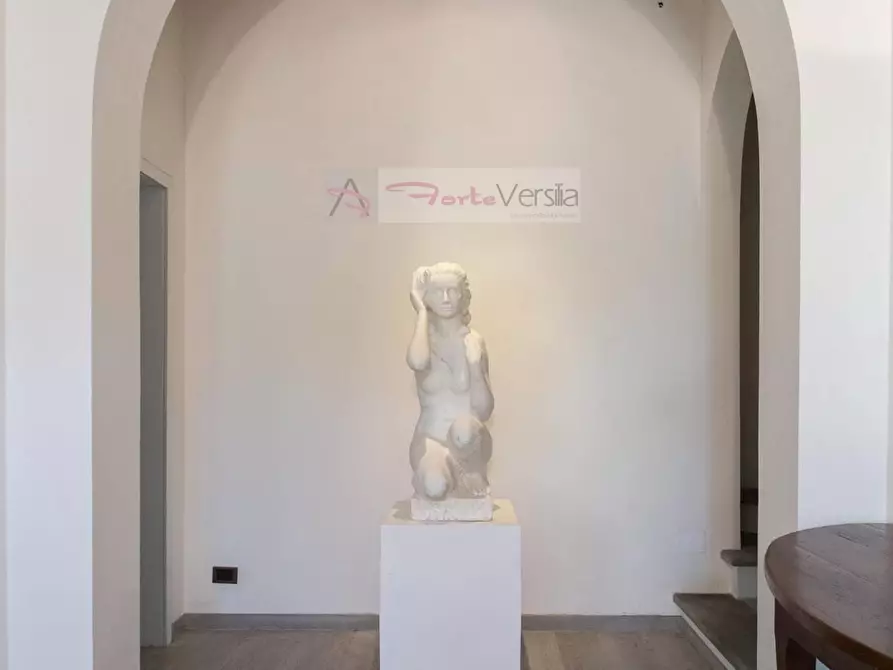 Immagine 12 di Villa in affitto  a Forte Dei Marmi