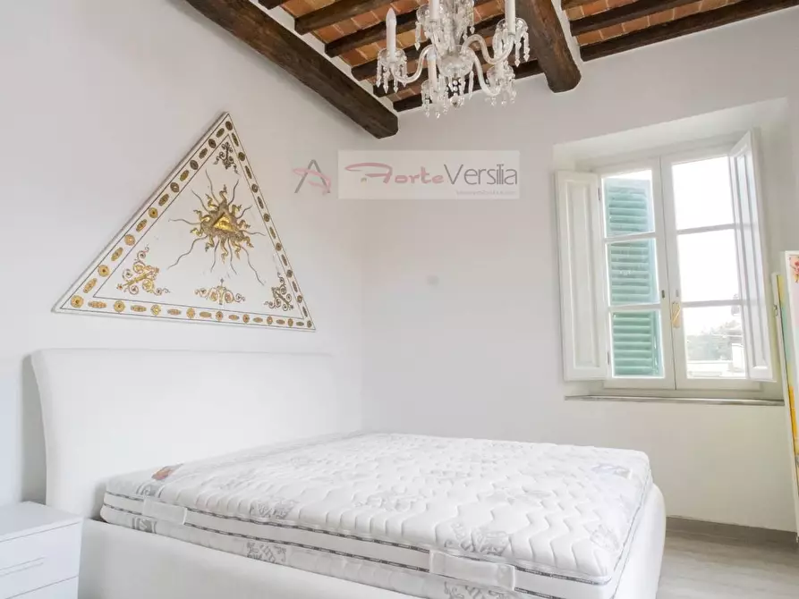 Immagine 19 di Villa in affitto  a Forte Dei Marmi