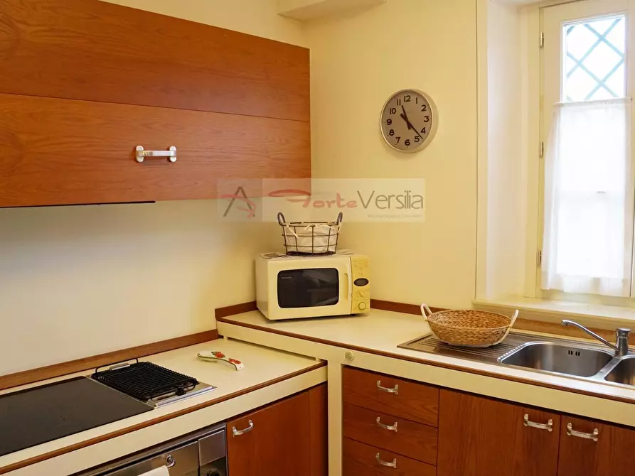 Immagine 23 di Villa in vendita  a Forte Dei Marmi