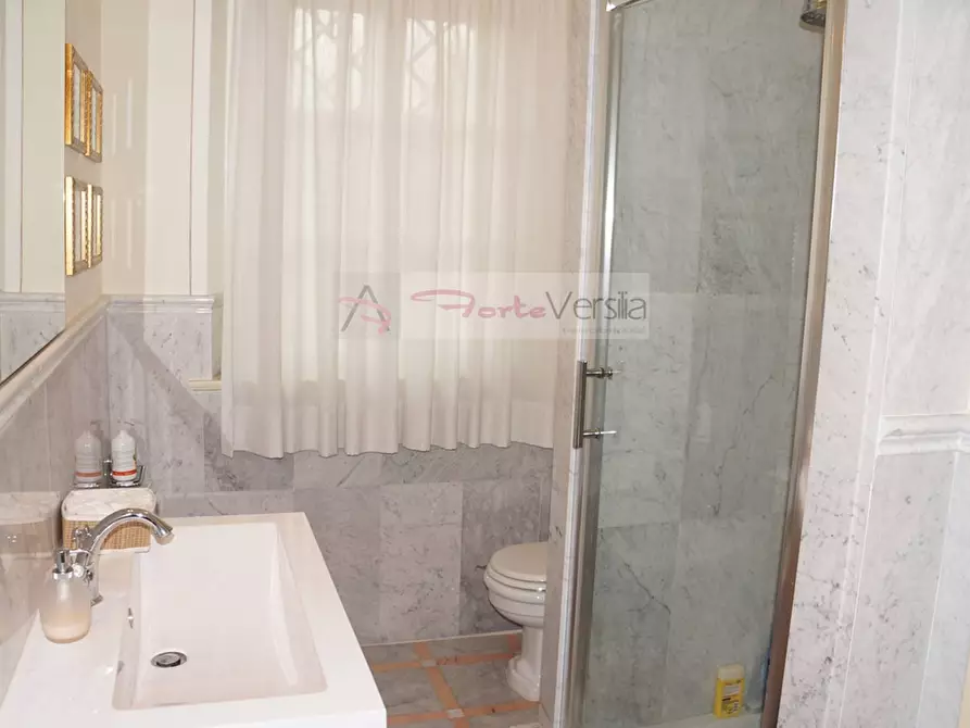 Immagine 43 di Villa in vendita  a Forte Dei Marmi
