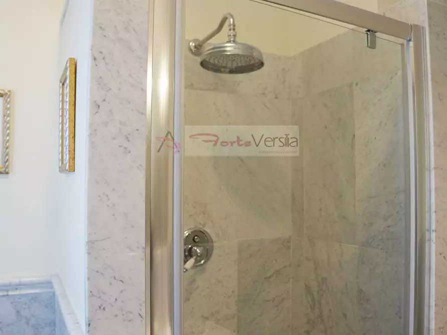 Immagine 45 di Villa in vendita  a Forte Dei Marmi