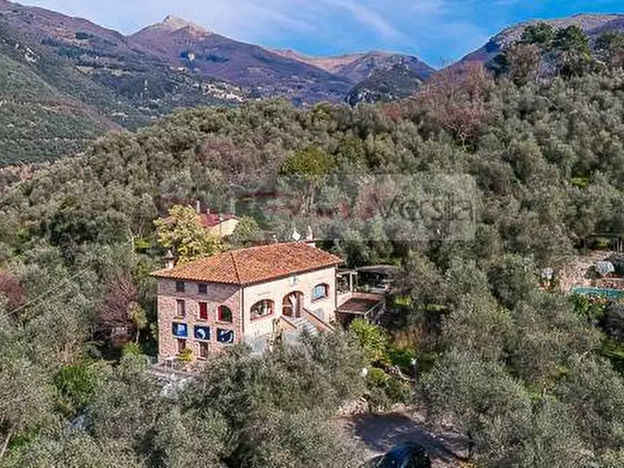 Immagine 4 di Rustico / casale in vendita  a Camaiore