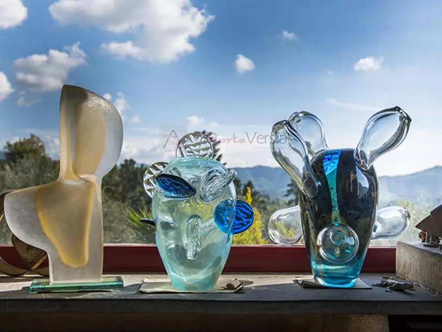 Immagine 12 di Rustico / casale in vendita  a Camaiore