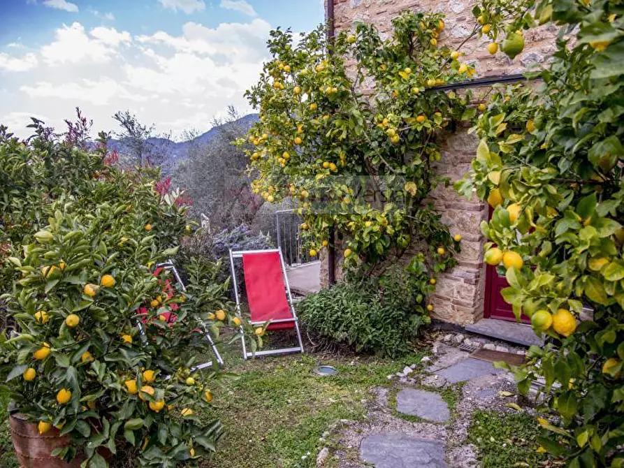 Immagine 14 di Rustico / casale in vendita  a Camaiore