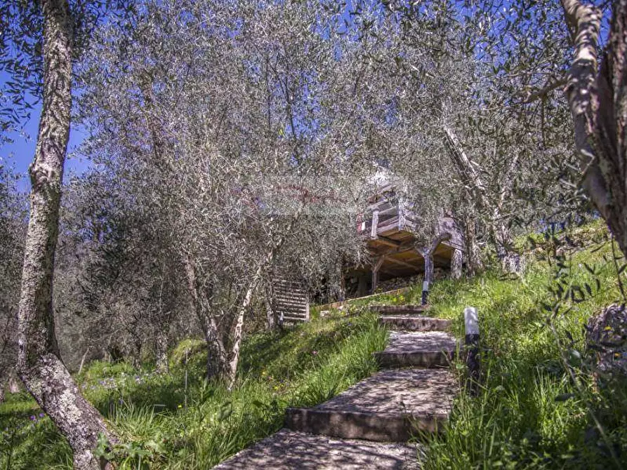 Immagine 20 di Rustico / casale in vendita  a Camaiore