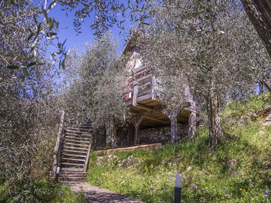 Immagine 21 di Rustico / casale in vendita  a Camaiore