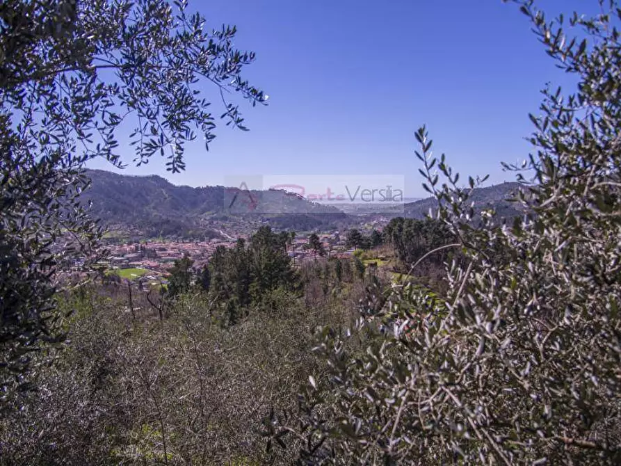 Immagine 22 di Rustico / casale in vendita  a Camaiore