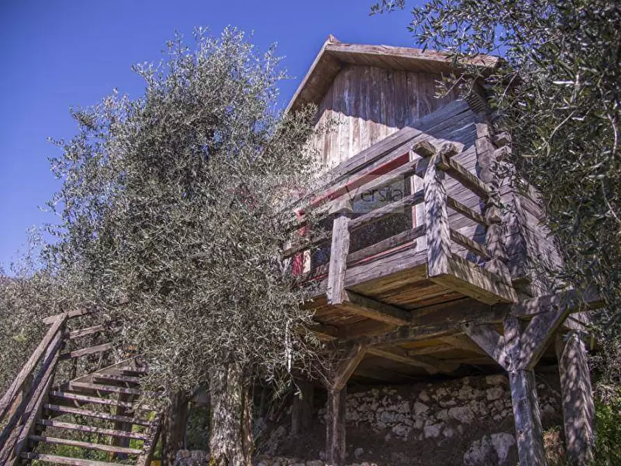 Immagine 30 di Rustico / casale in vendita  a Camaiore