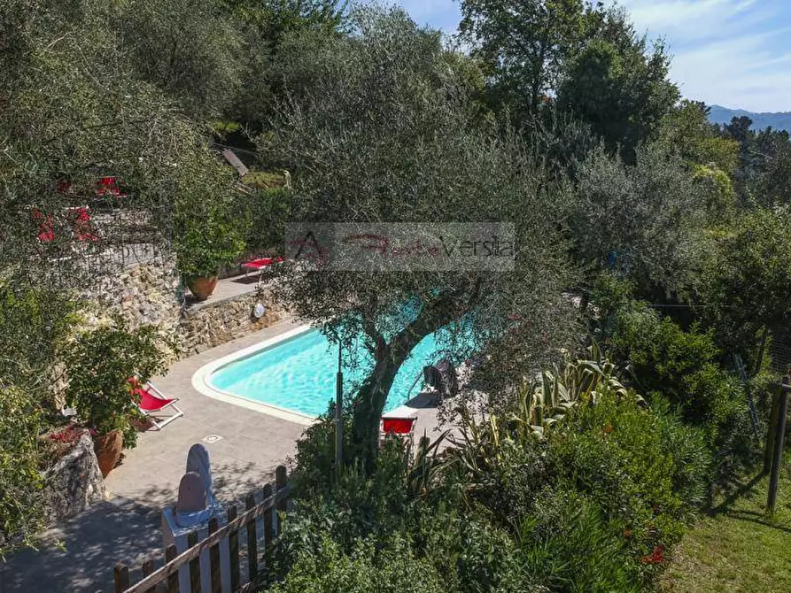 Immagine 42 di Rustico / casale in vendita  a Camaiore