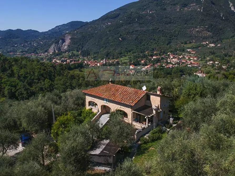 Immagine 45 di Rustico / casale in vendita  a Camaiore