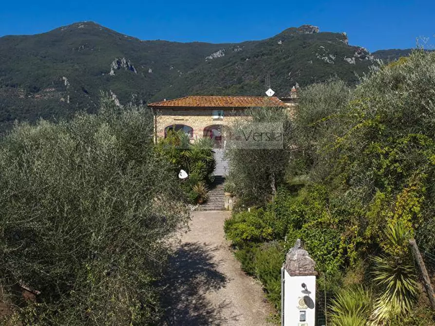 Immagine 47 di Rustico / casale in vendita  a Camaiore