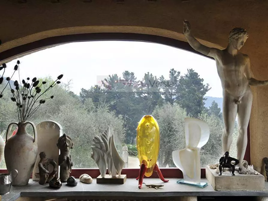 Immagine 55 di Rustico / casale in vendita  a Camaiore