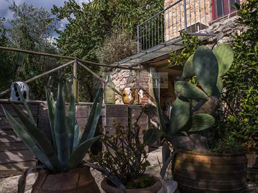 Immagine 56 di Rustico / casale in vendita  a Camaiore