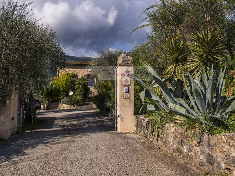 Immagine 57 di Rustico / casale in vendita  a Camaiore