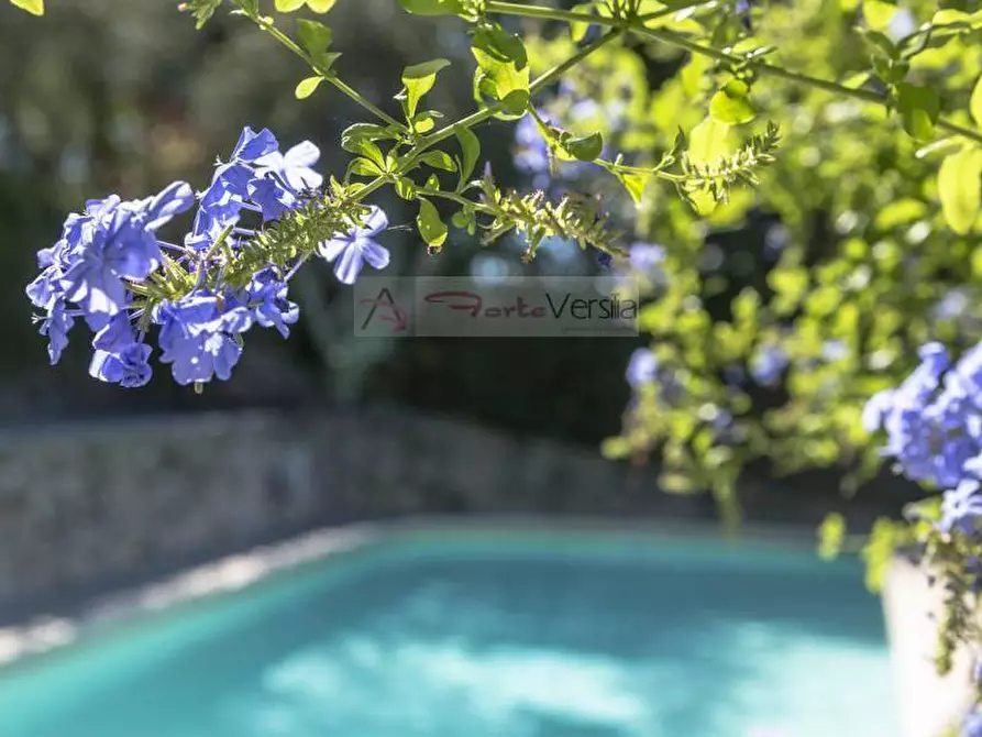 Immagine 59 di Rustico / casale in vendita  a Camaiore