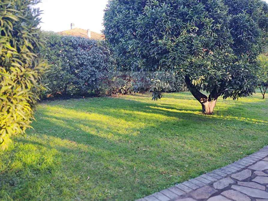 Immagine 7 di Villa in vendita  a Seravezza