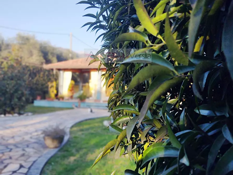 Immagine 8 di Villa in vendita  a Seravezza